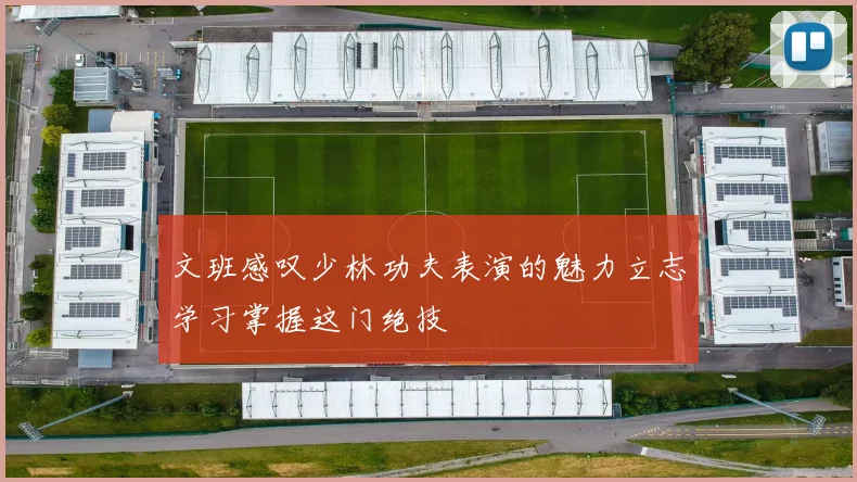 文班感叹少林功夫表演的魅力立志学习掌握这门绝技