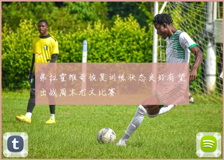 弗拉霍维奇恢复训练状态良好有望出战周末尤文比赛