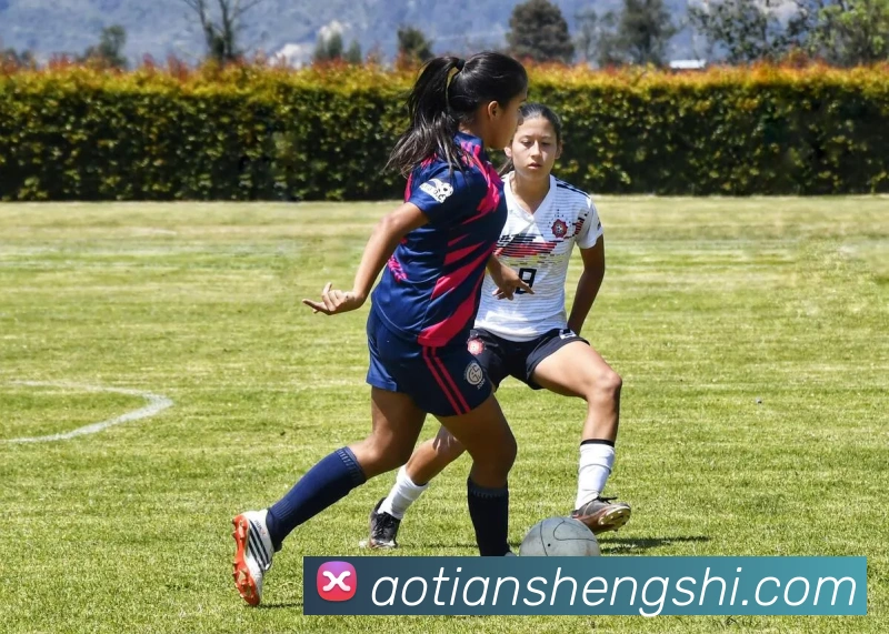 App Interface Preview